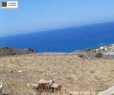 Lentas Kreta, Lentas, zwei Grundstücke mit Meerblick von 16.000m² und 40.000m² Grundstück kaufen